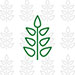 V D Herbal & Organic